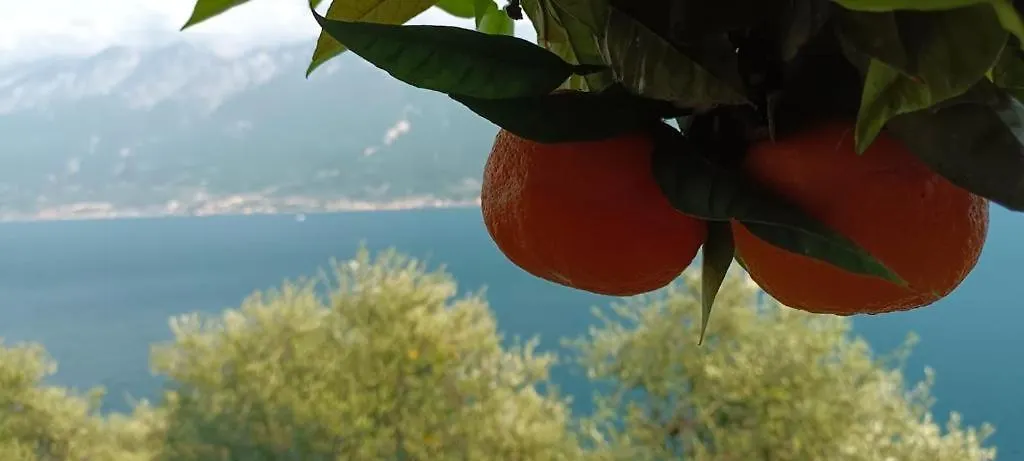 Hotel La Terrazzina Gargnano